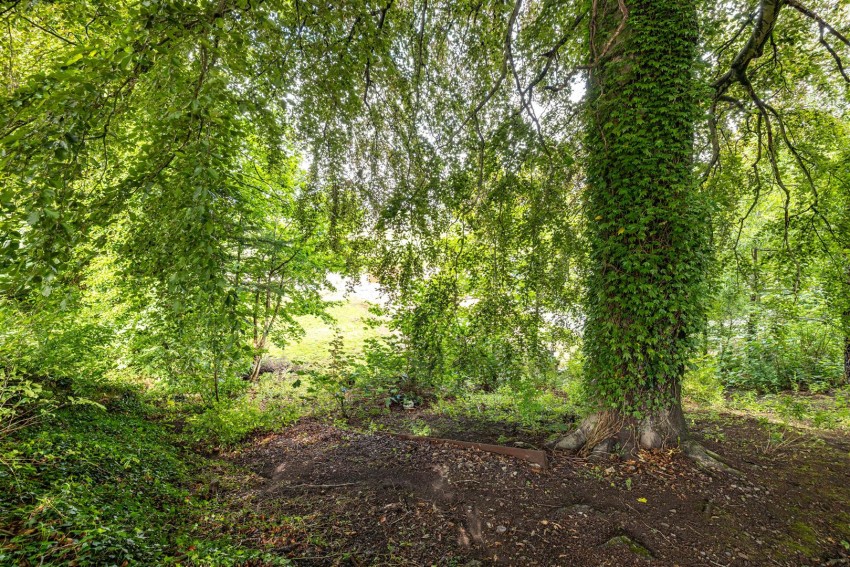 Images for 50 High Cross Avenue, Melrose