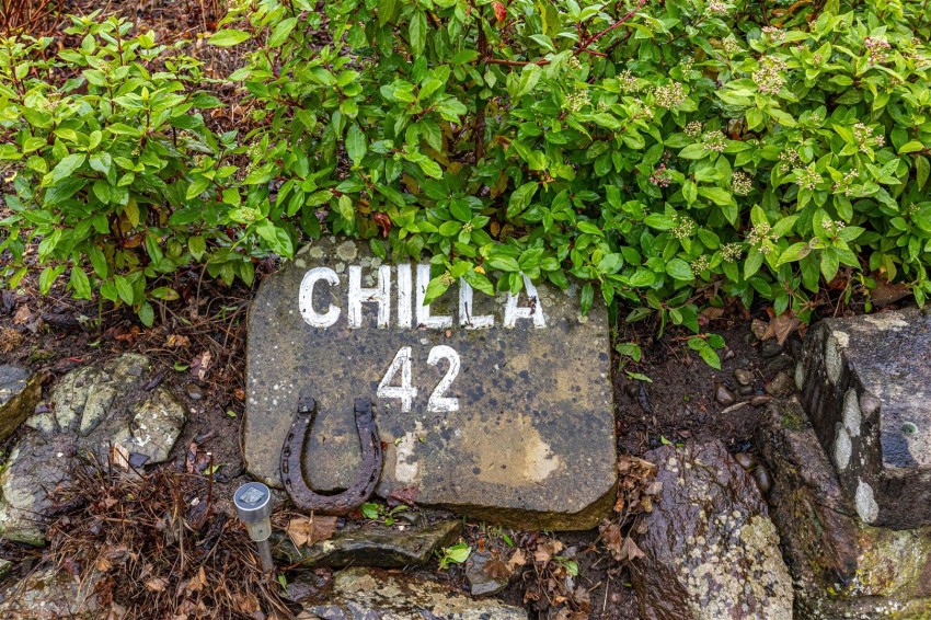 Images for Chilla, Ormiston Terrace, Melrose