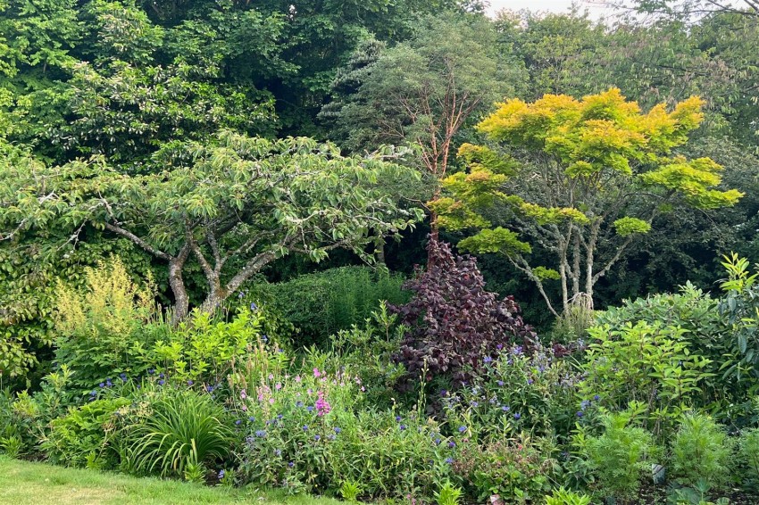 Images for Braeside, Redpath, Earlston