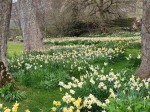 Images for Crookston Farmhouse, Peebles