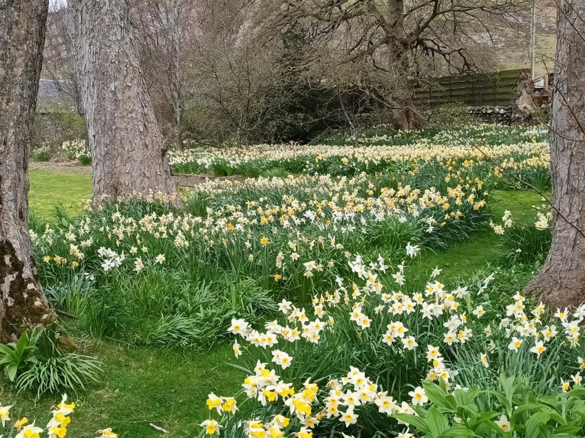 Images for Crookston Farmhouse, Peebles