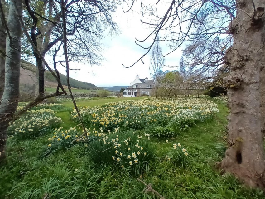 Images for Crookston Farmhouse, Peebles