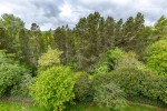 Images for 6/8 Weavers Linn, Tweedbank, Galashiels