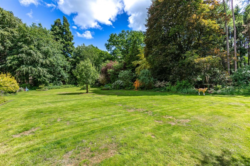 Images for Cedar Lodge, Bucklands, Hawick