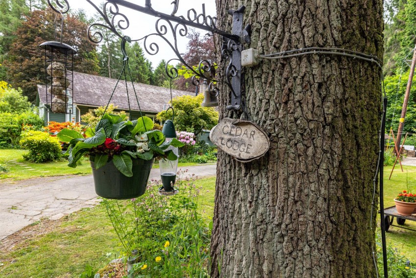 Images for Cedar Lodge, Bucklands, Hawick