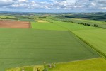 Images for The Ark, Hadden, Kelso